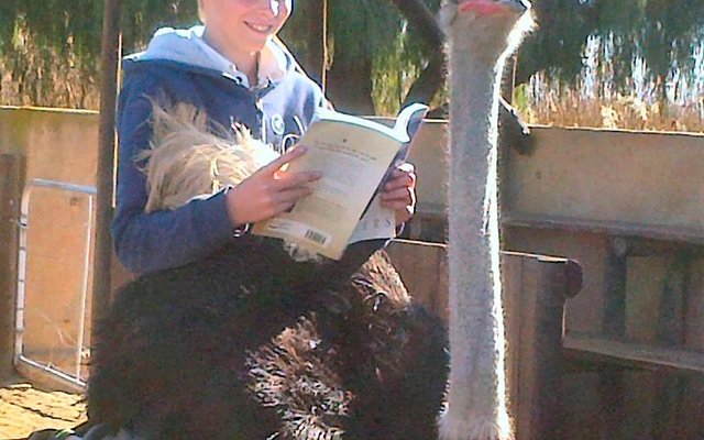 First runner up to Matthew for reading on his holiday